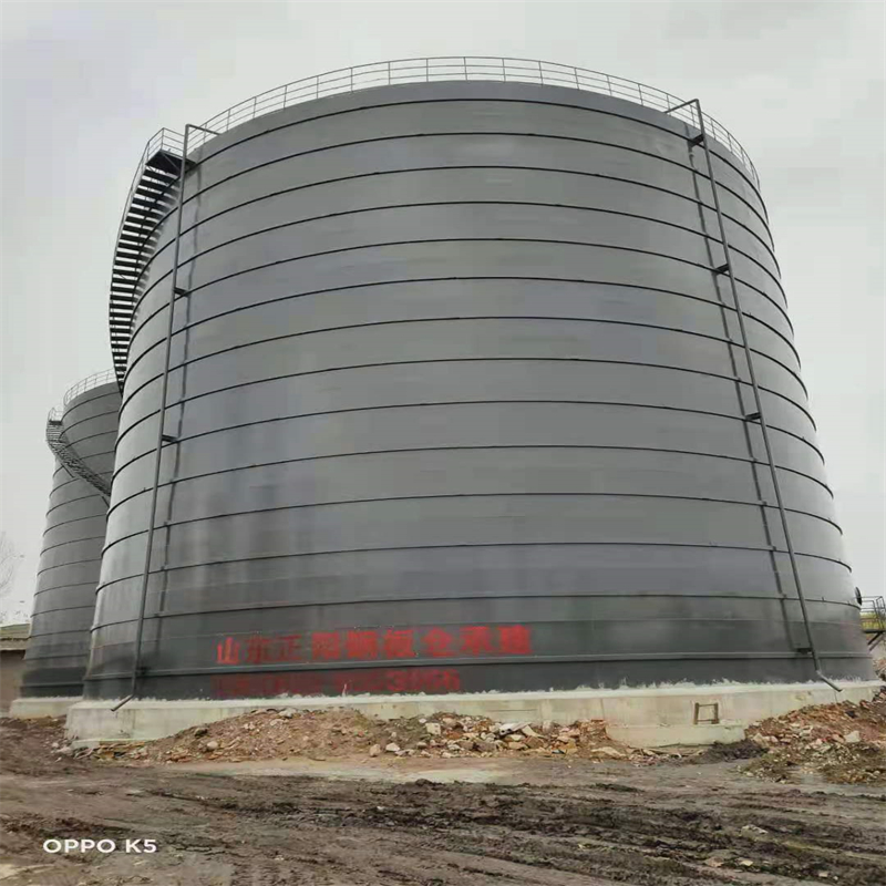 崖州3万吨大型钢板库