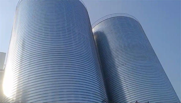 崖州2座混凝土高架卷板仓